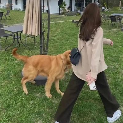 圣凯瑟琳